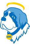 school mascot logo of bernie
